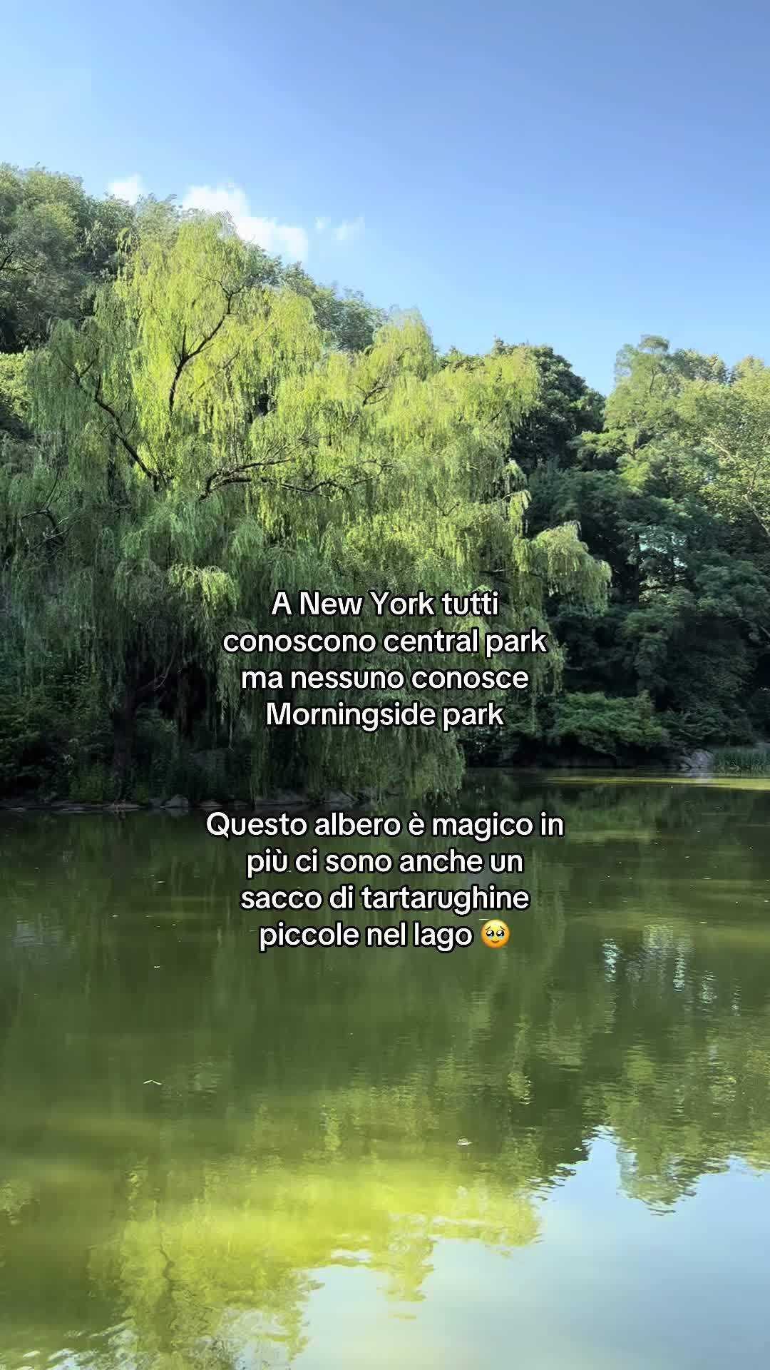 @Sofia Grondona
