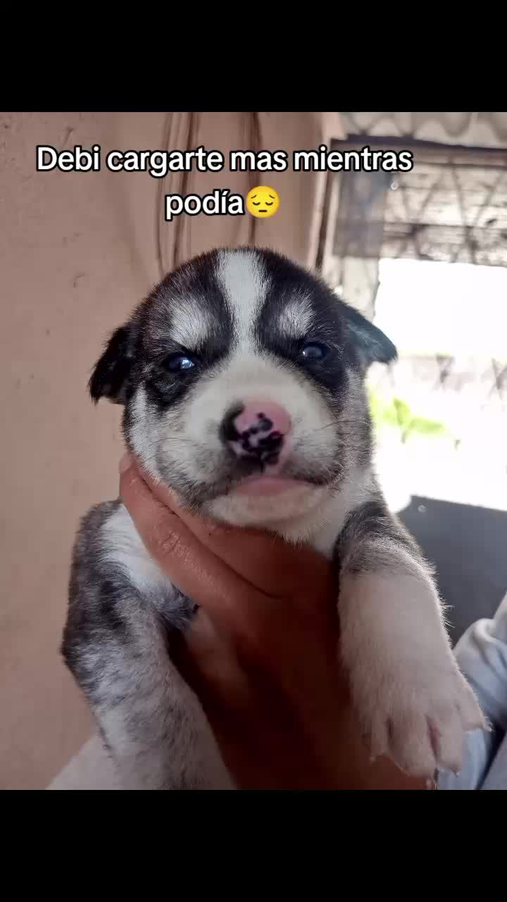 @JAVIER✨