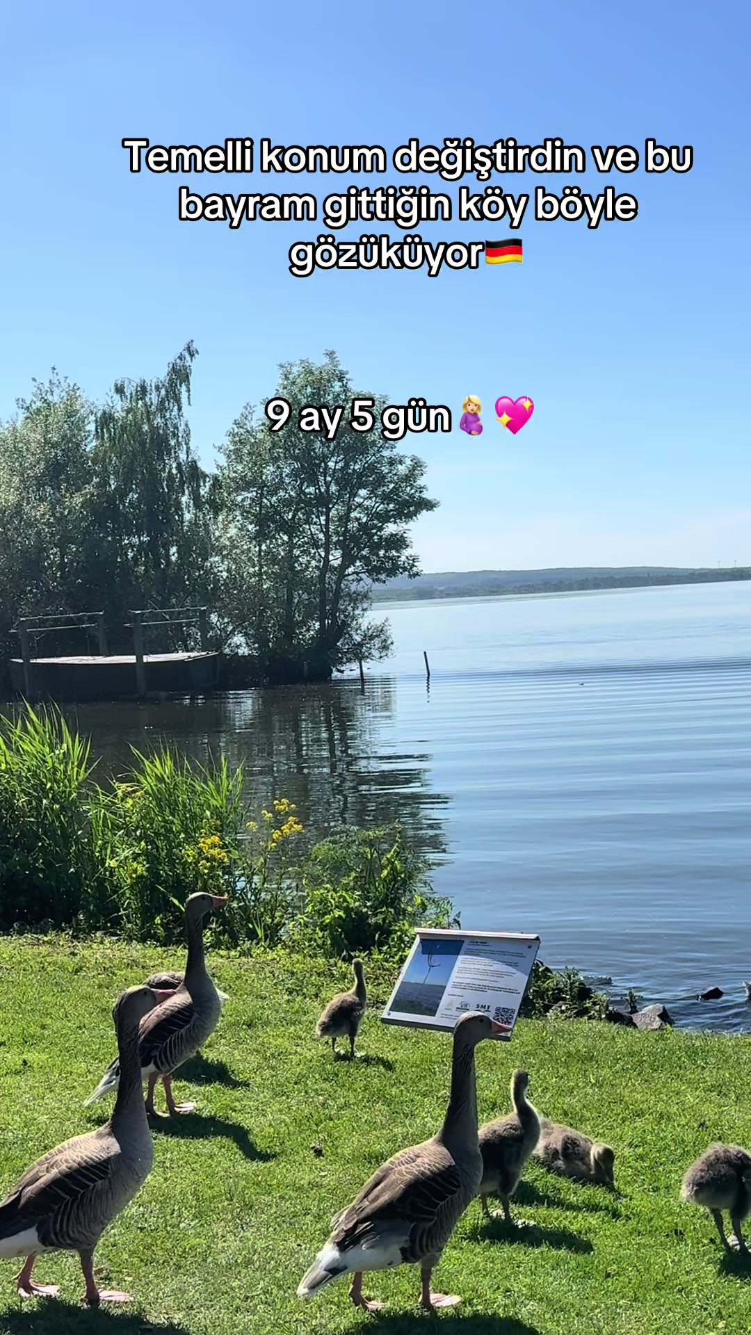 @Duygu Torun