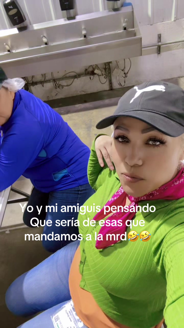 @Lauris LA Chikis Gar