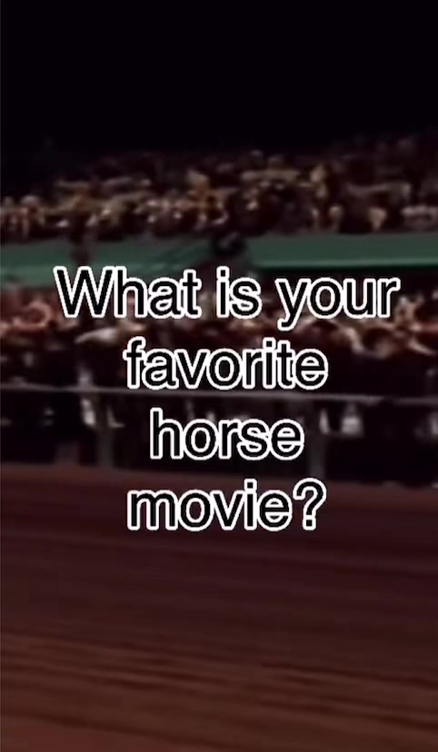 @HORSES
