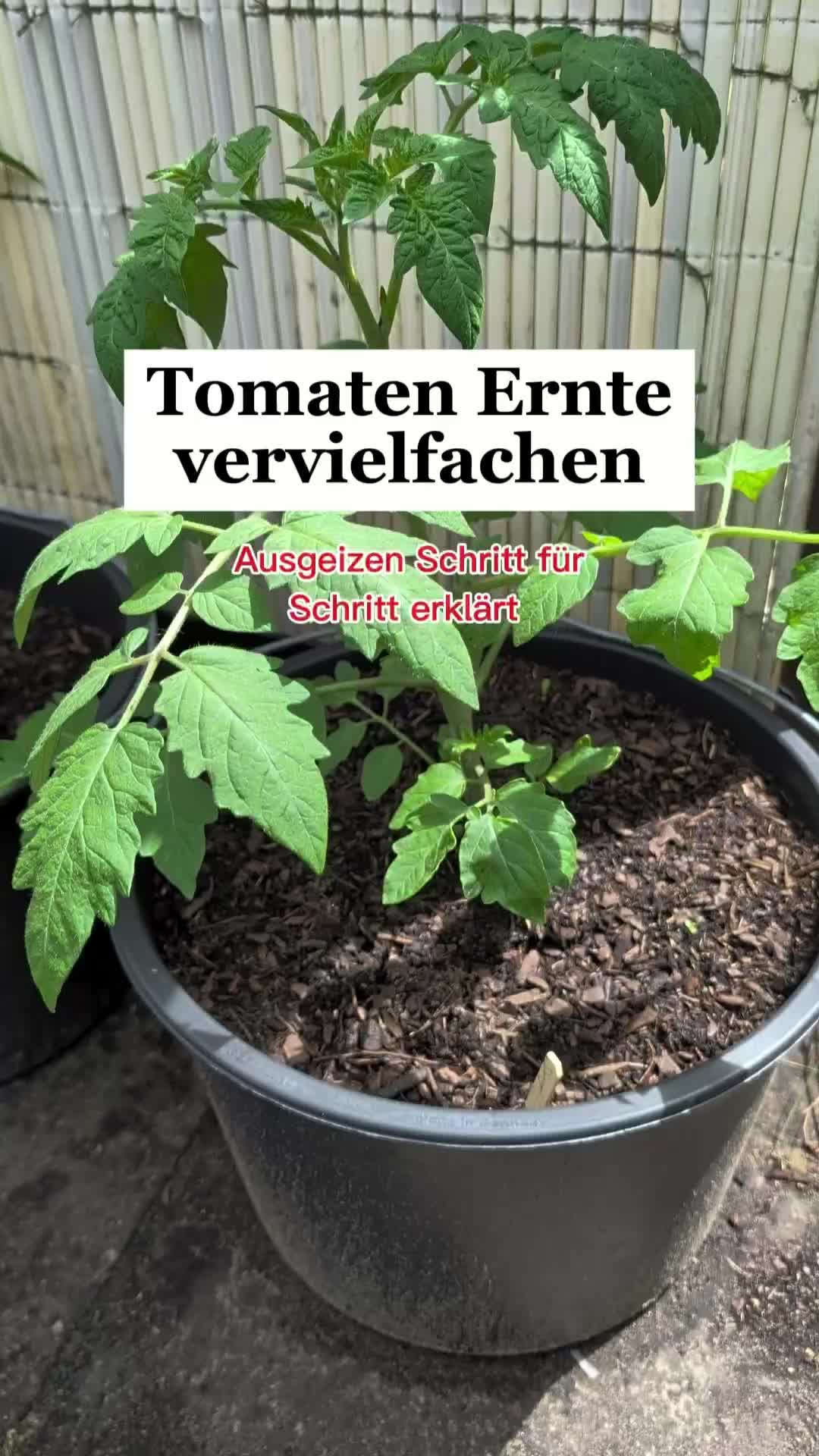 @ErnteExperte