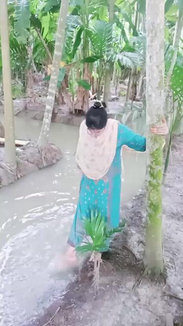 @sumaiya