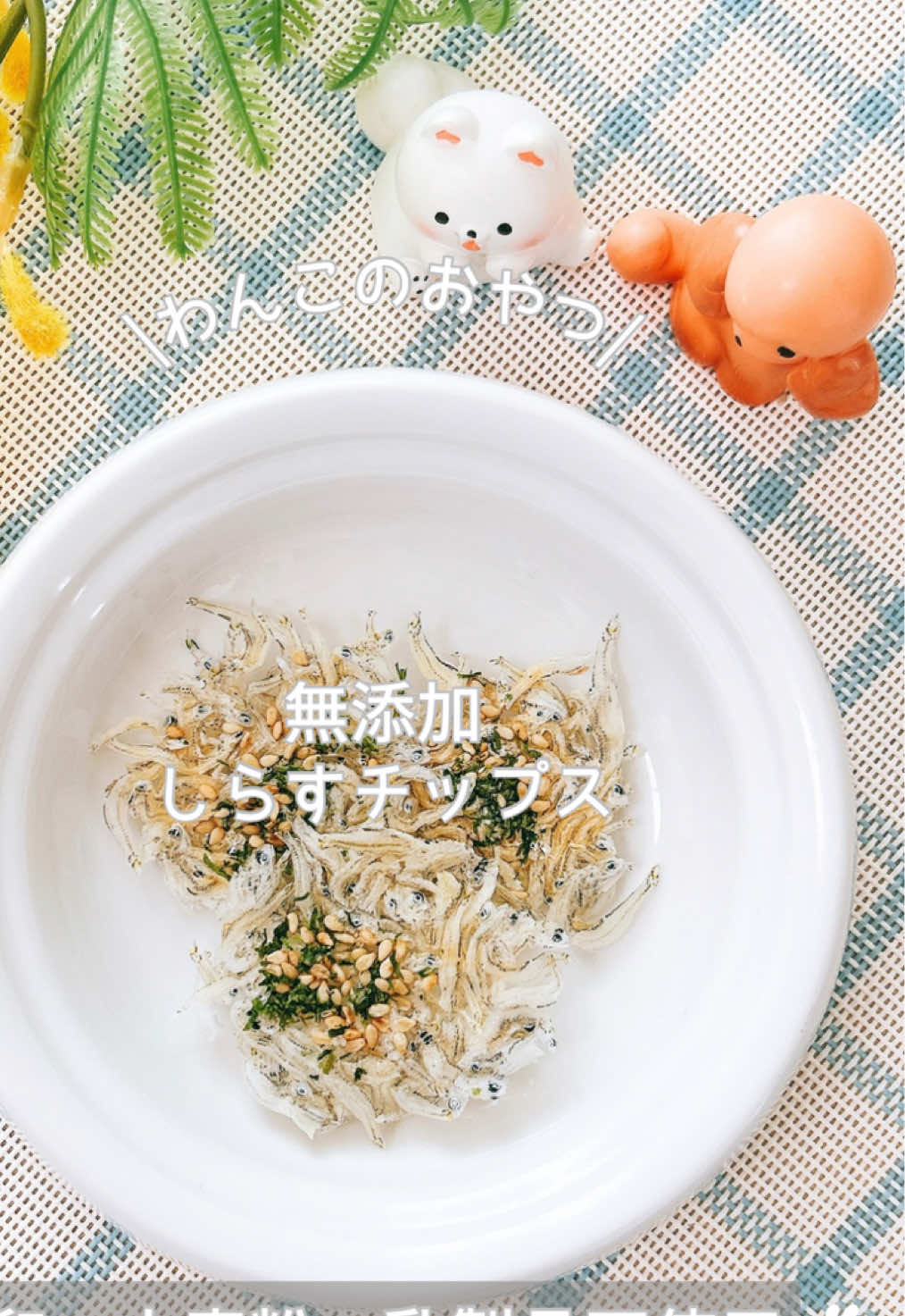 @ゆきえもん|手作り愛犬おやつ