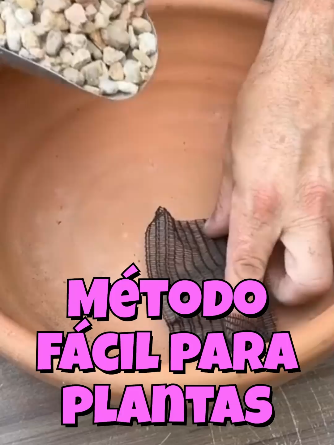 @Cactus y Suculentas