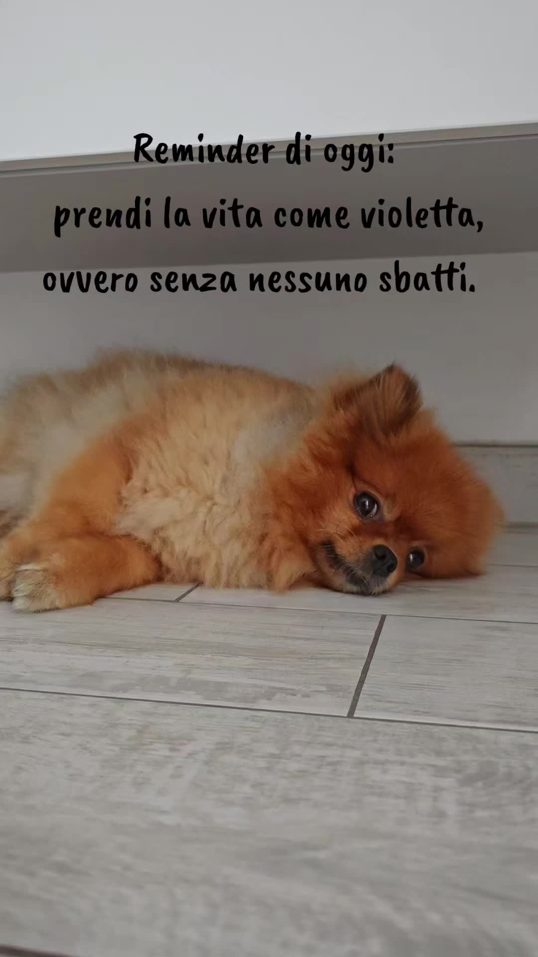 @Nicoletta 🥰