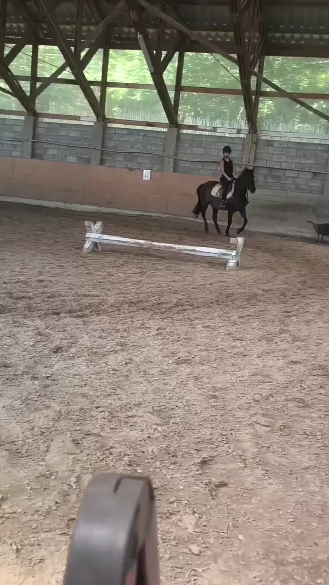 @ig:  _.laurqxv