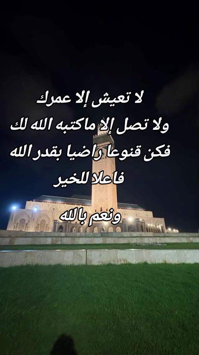 @ياسمين التيكتوك