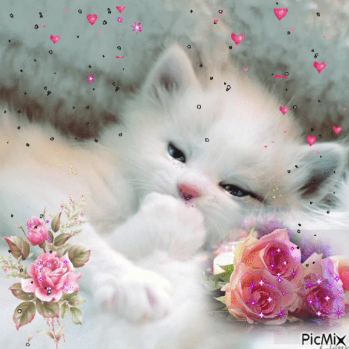 @кощик😛