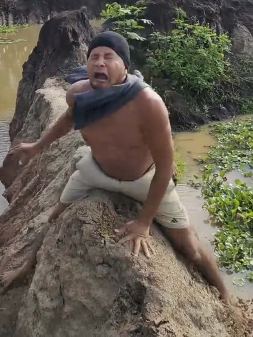@Funny Videos