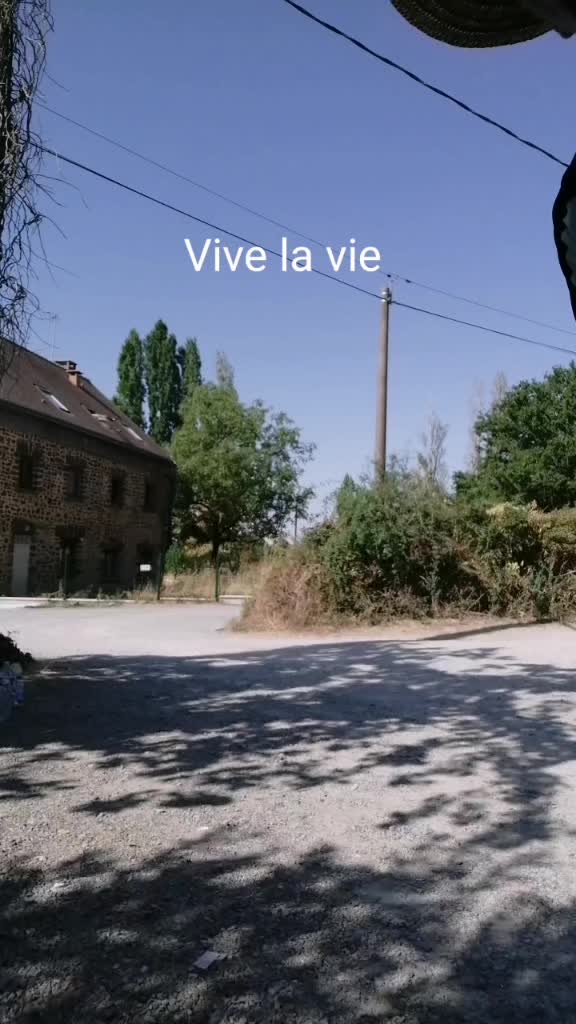 @azzedine31213