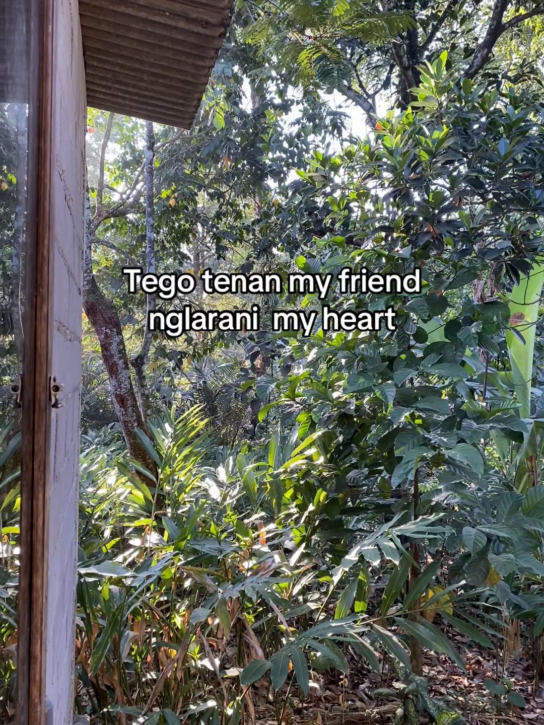 @Wahyuuu