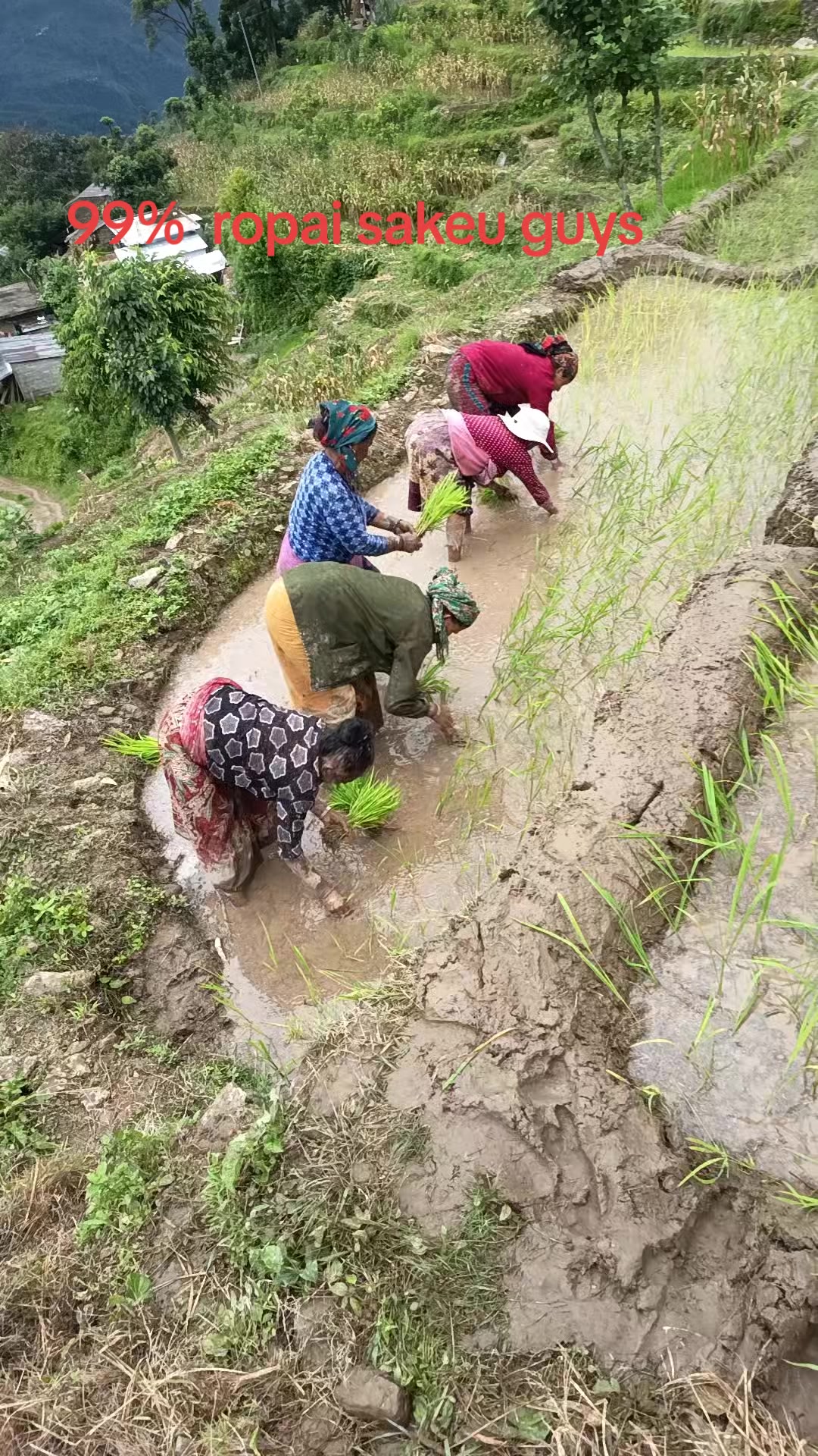 @수마너