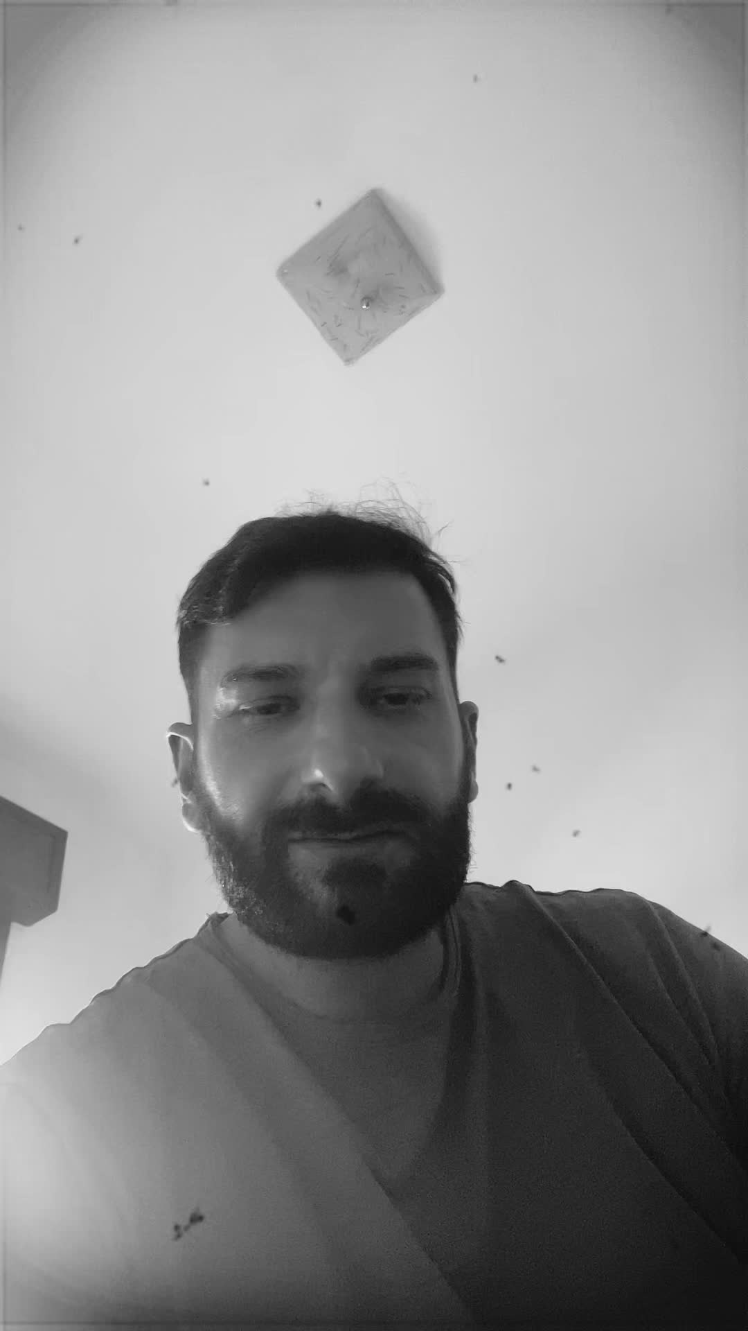 @Stefan Antonio992