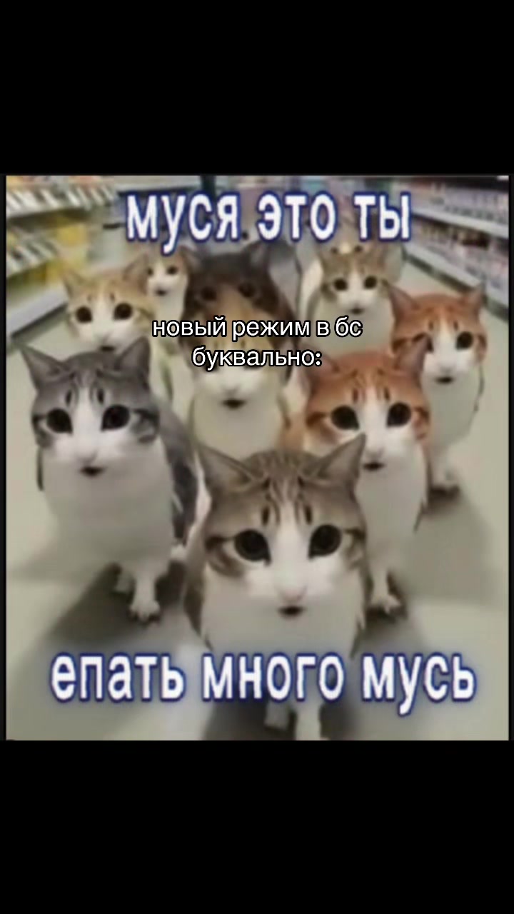 @анимко