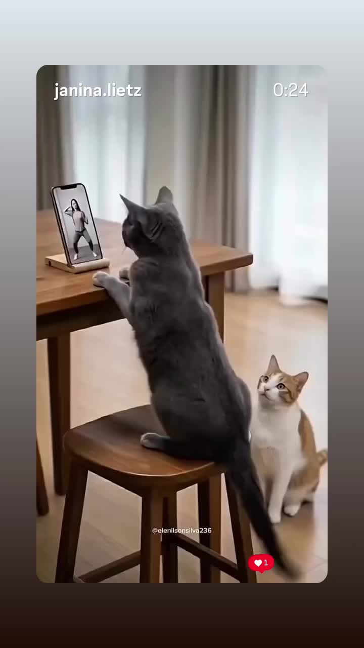 @Alina