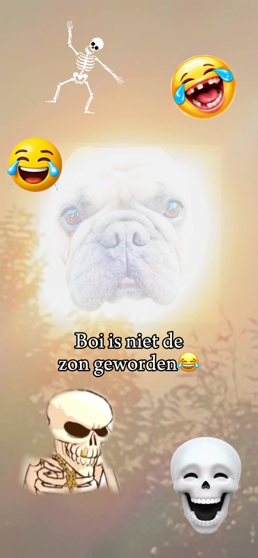 @Jan dirksen