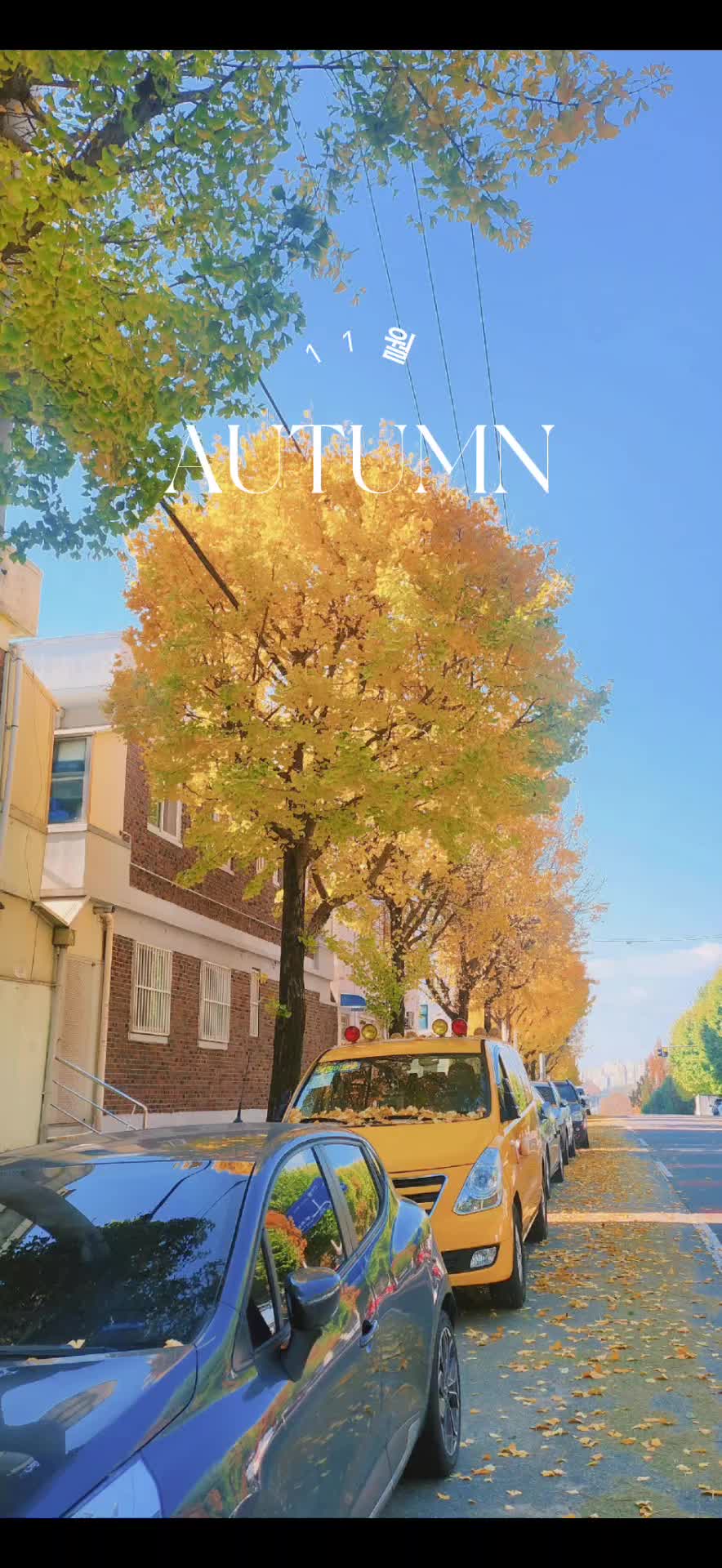 @_eun_sunny