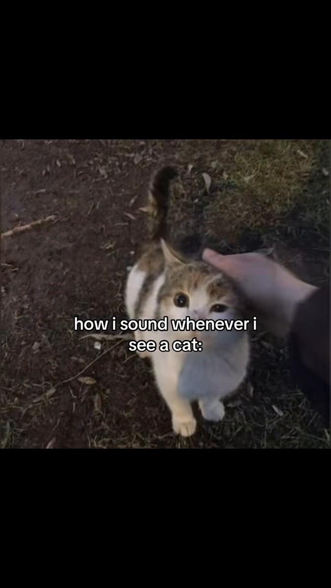 @𝒞