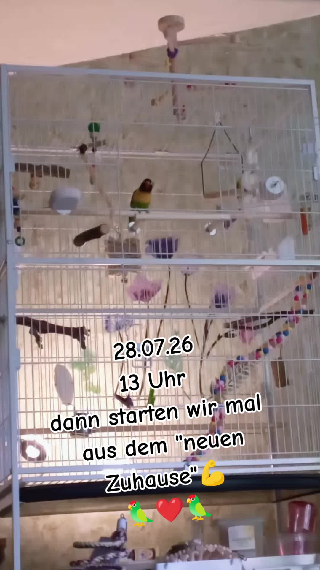 @🏳️&zwj;🌈💙꧁💥𝕐𝕧𝕚💥꧂💙🏳️&zwj;🌈