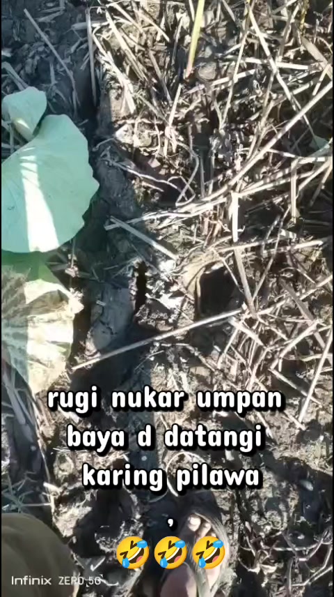 @Syahid