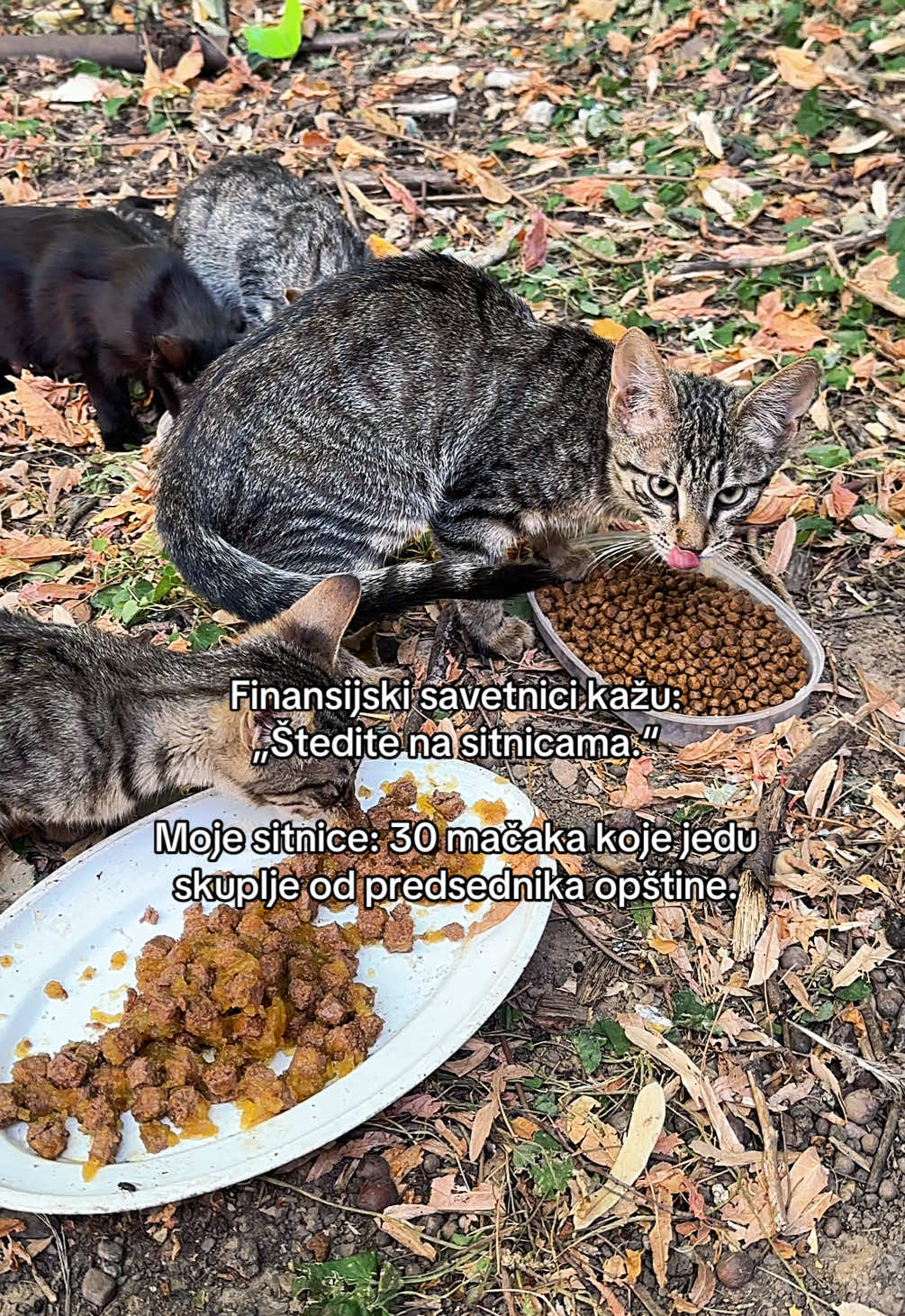 @cosanostrapurr