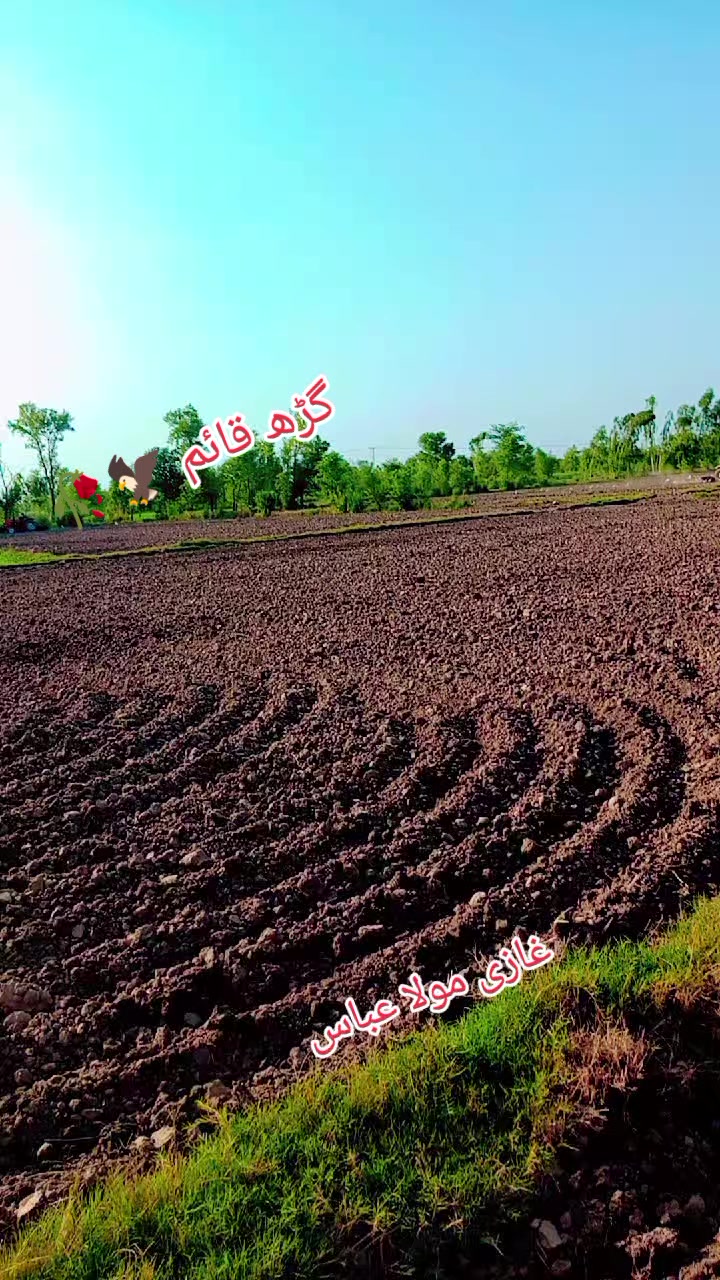 @👑‿انیس&deg;✿&nbsp;&deg;حیدر✿ کرڑ‿{جٹ}👑
