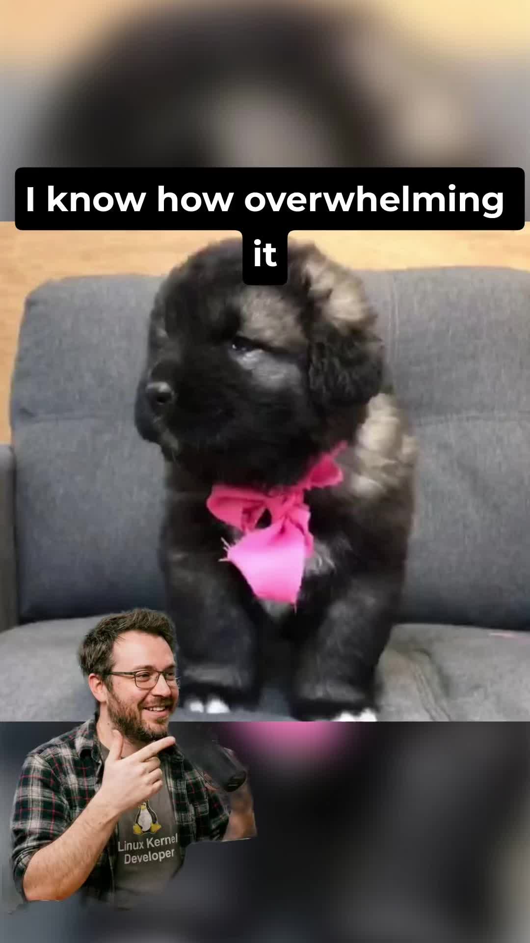 @Ultimate Puppies
