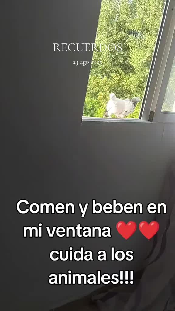@Sra.Gato