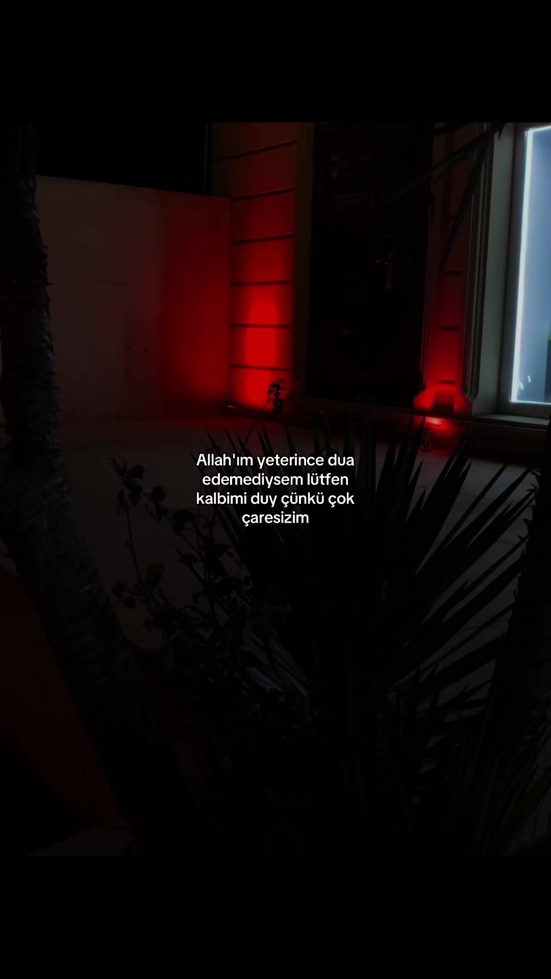 @𝓜.