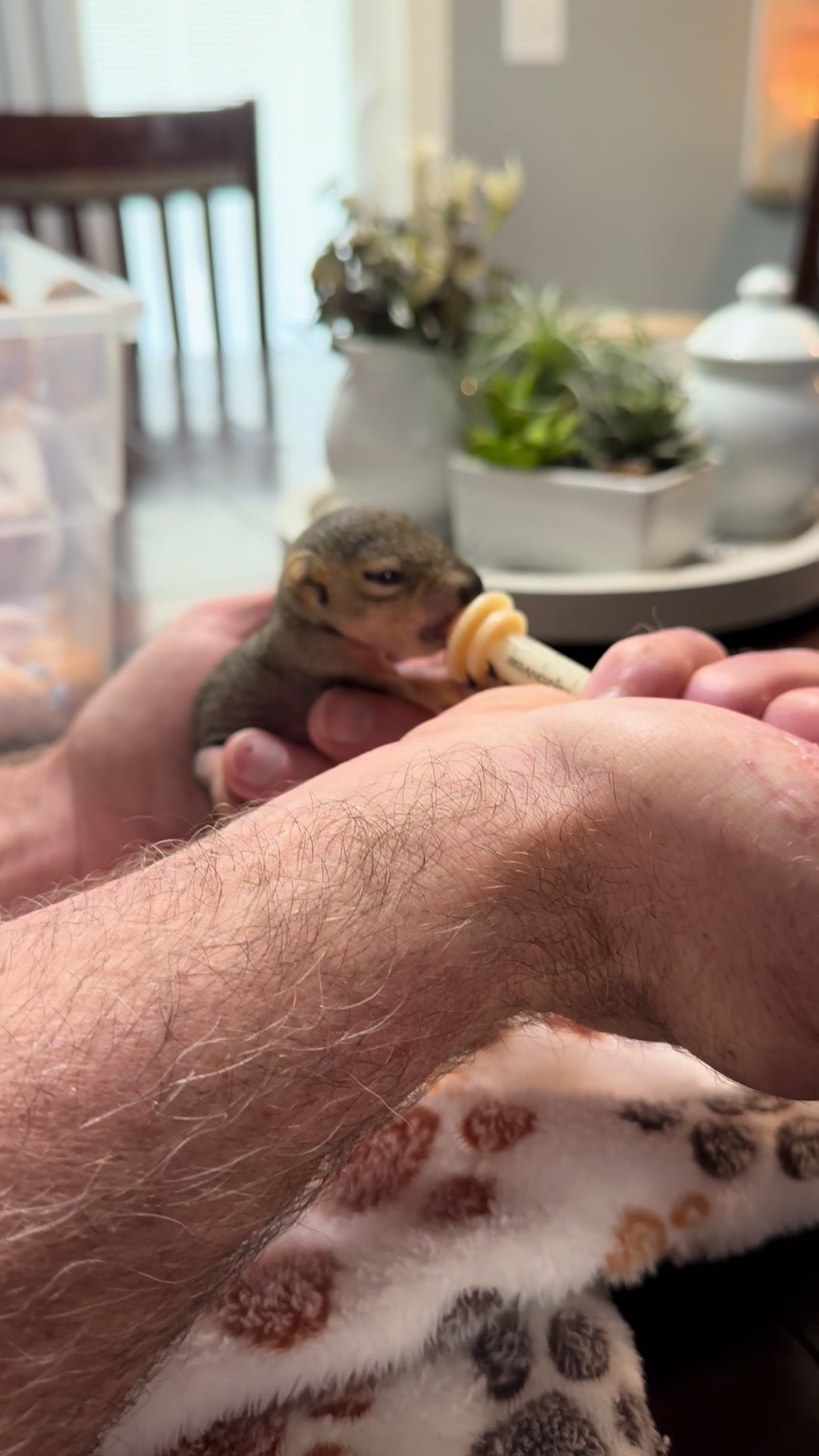 @Squirrel Guy