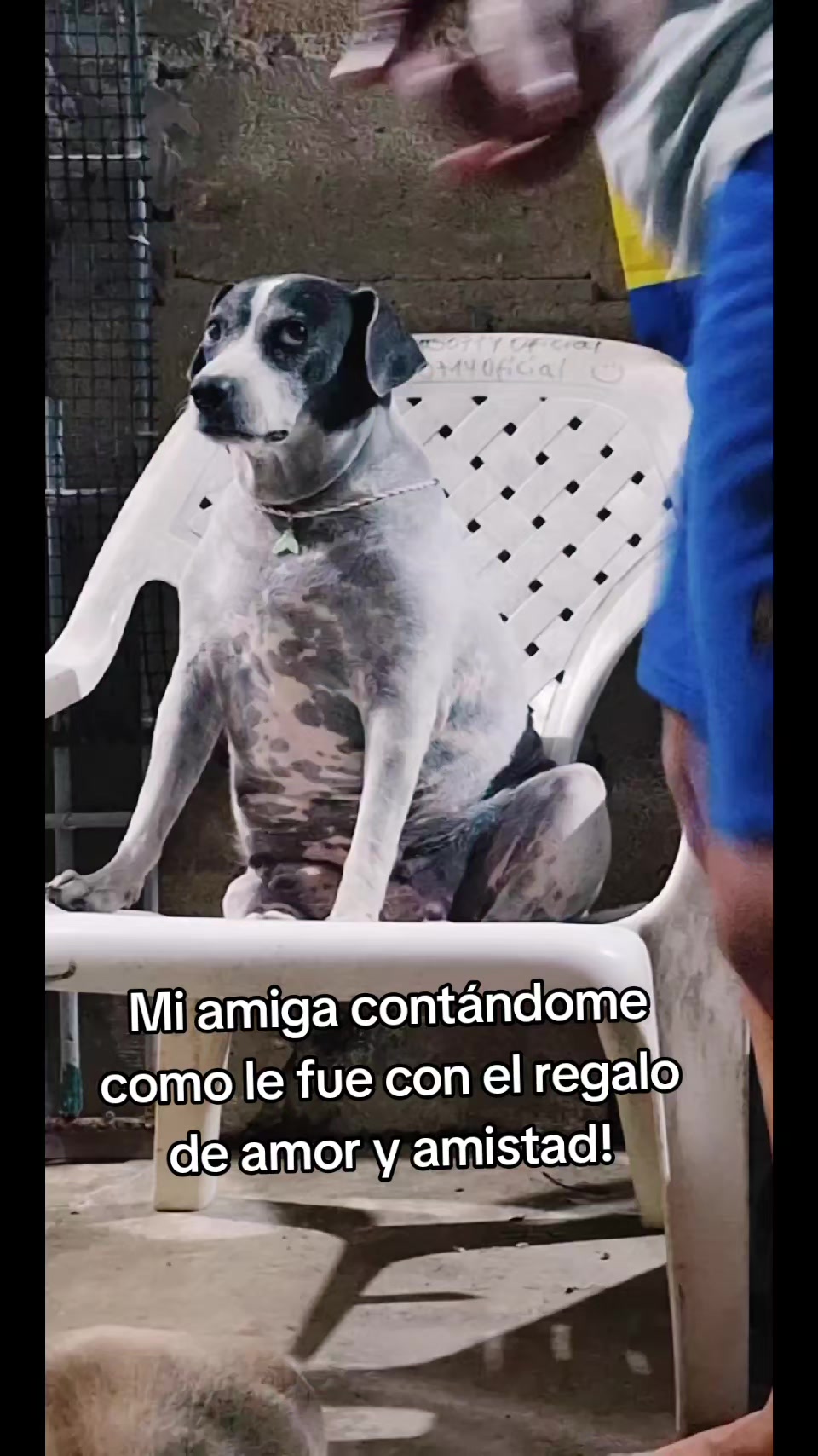 @MANCHAS 0714 OFICIAL