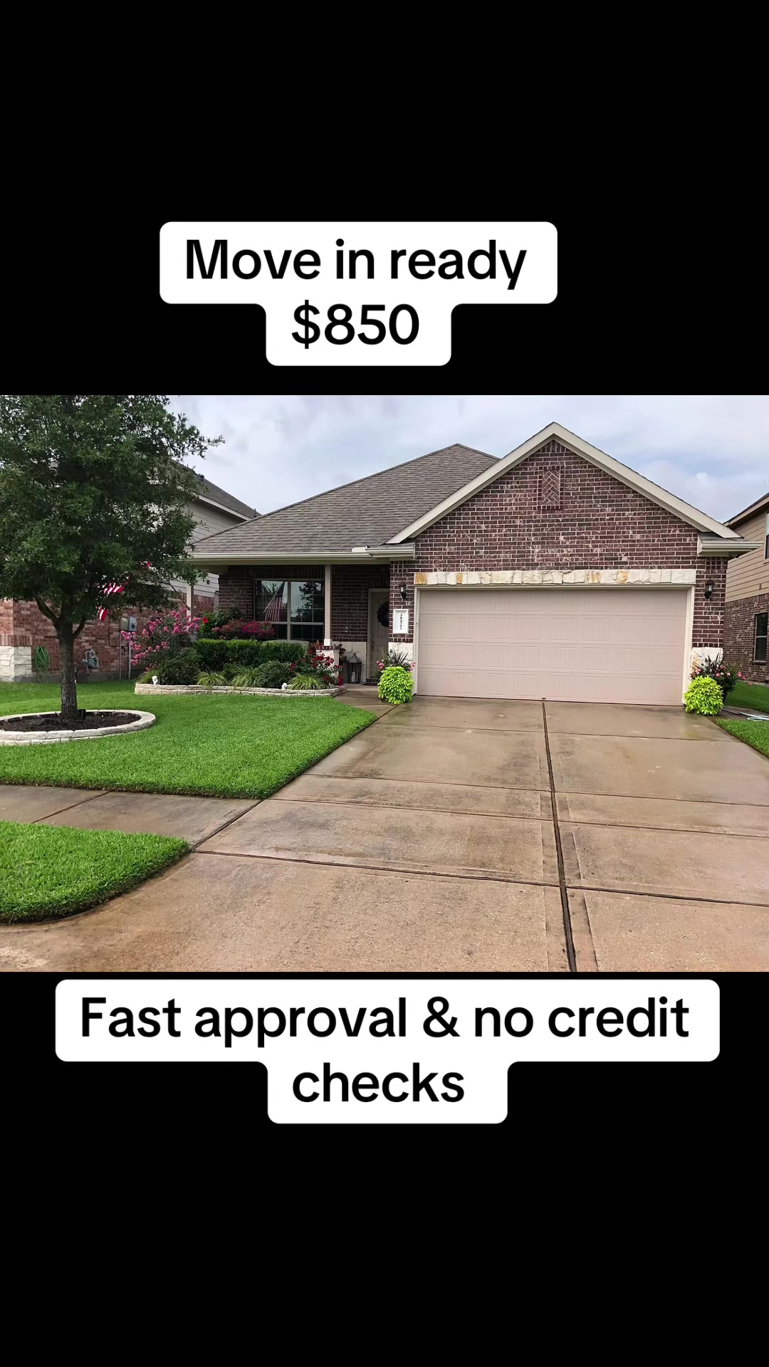 @Evelyn Harper Realtor🇺🇸