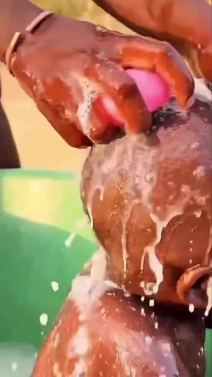 @MarlonPalmer