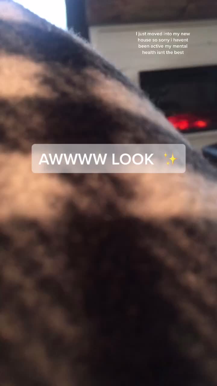 @ɴᴏᴛ ɪᴍᴘᴇʀsᴏɴᴀᴛɪɴɢ <3