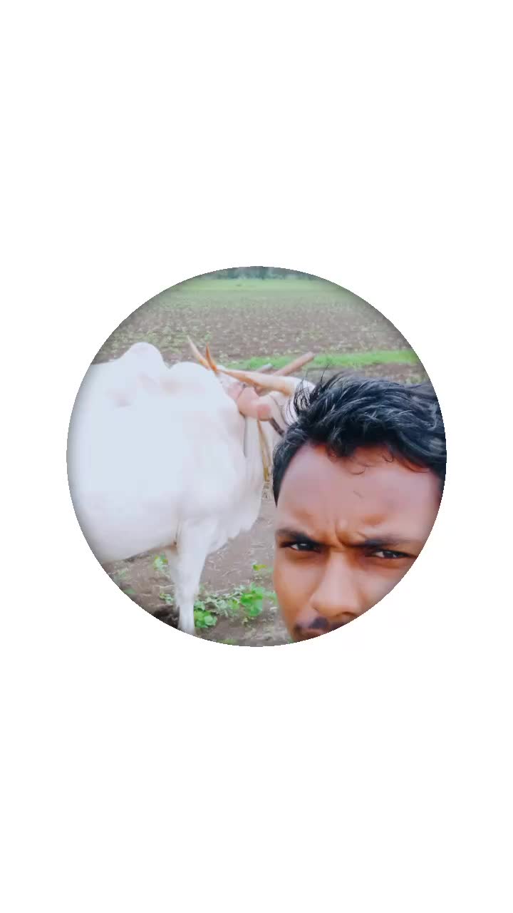 @ज्ञानेश्वर जमरे