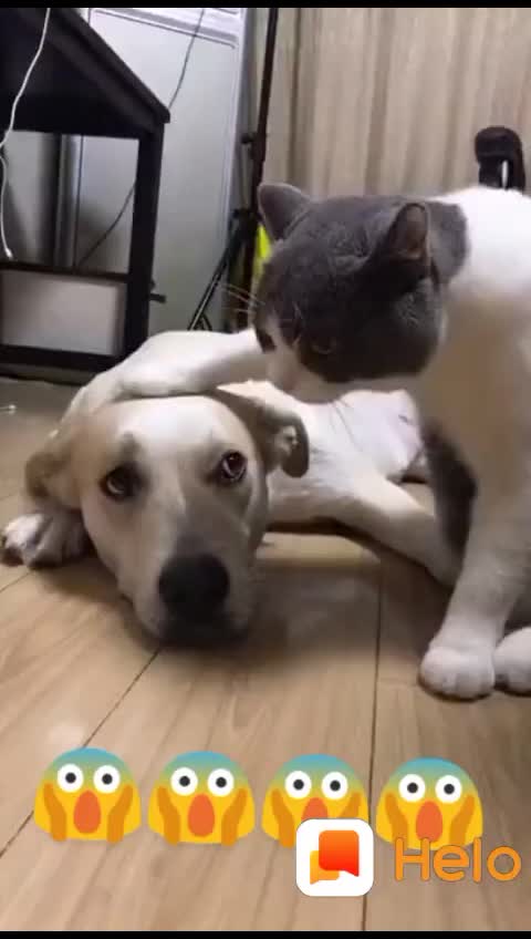 @user007890