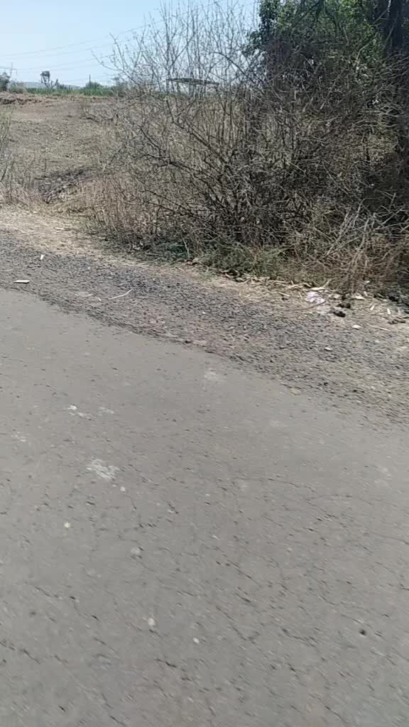 @Avesh Dipak Masane