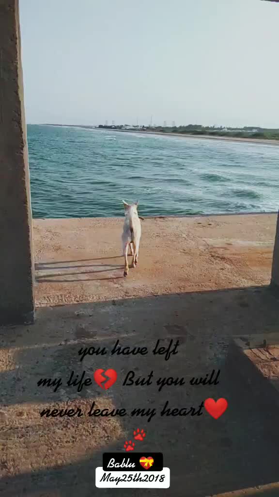 @తేJɪᴛʜ రెᴅᴅʏ
