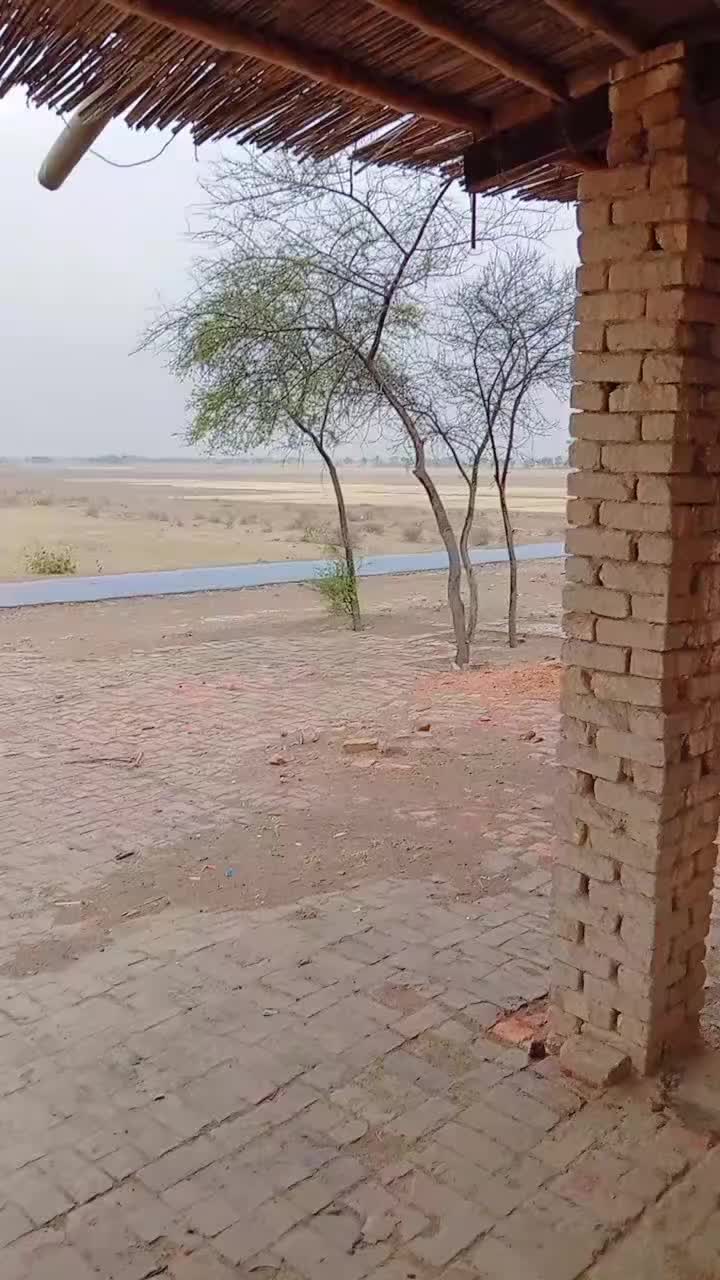 @Gull Zaib Niazi
