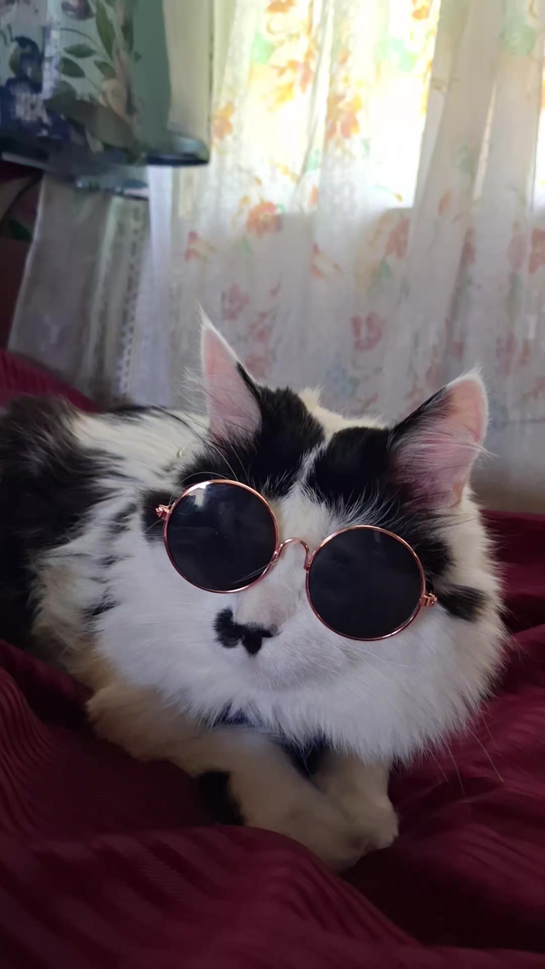 @Амурчик