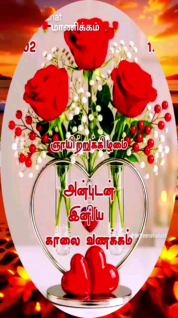 @selan