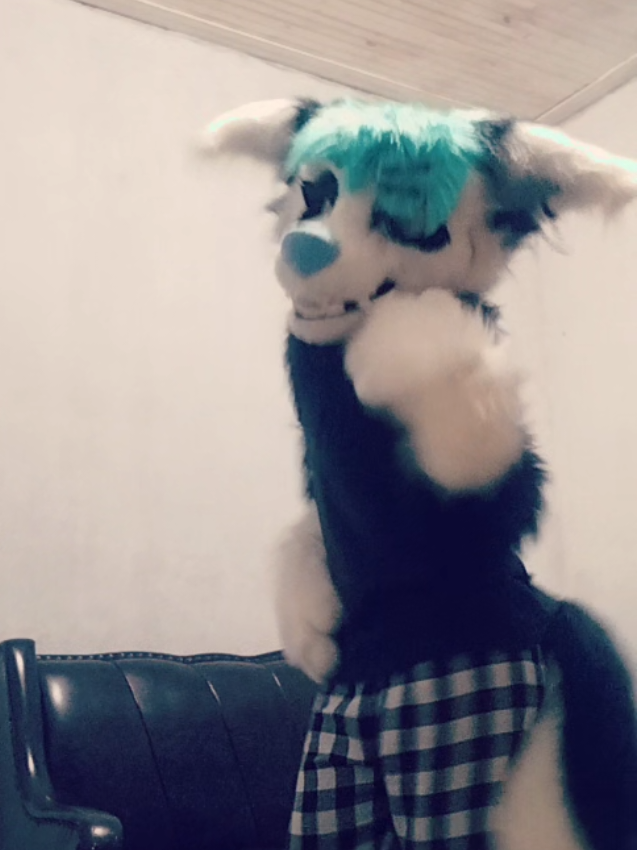 @𐂯✮⋆𝙷𝚞𝚙𝚘𝚕˙𓃡₊˚⊹🐾