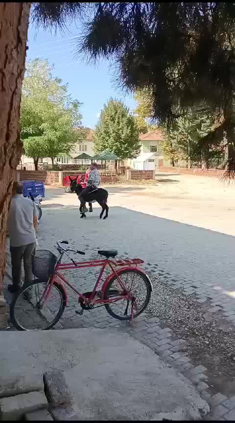 @Tolga Adıgüzel