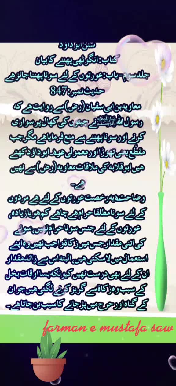 @Max Info