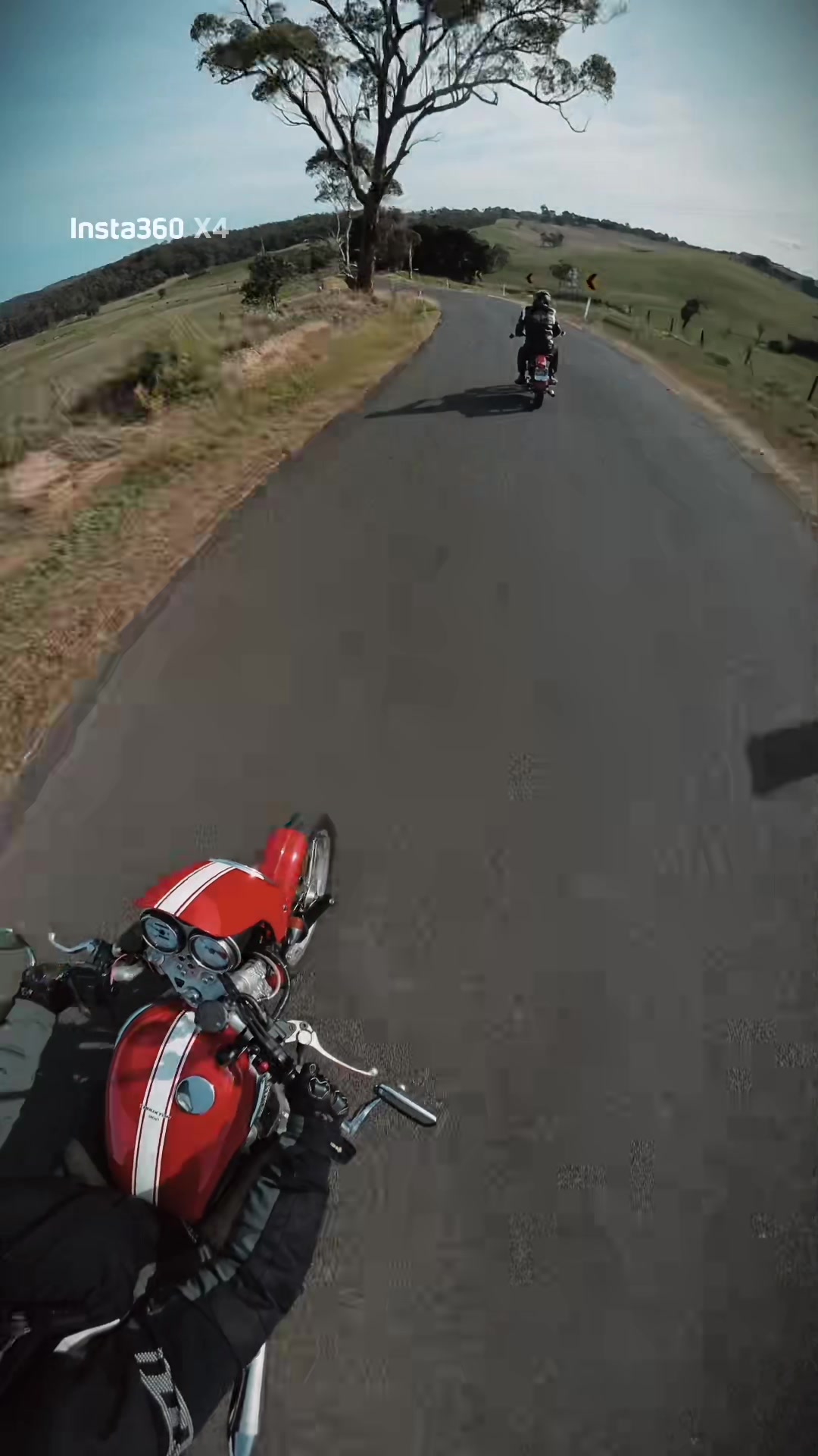 @Ol&egrave; Skool Bee 🏍️💨
