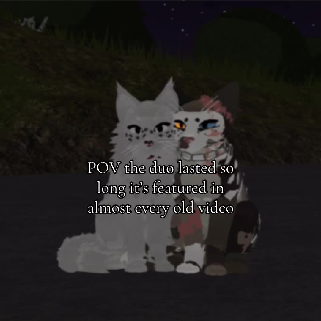 @Cool Cat COMMISSIONS OPEN
