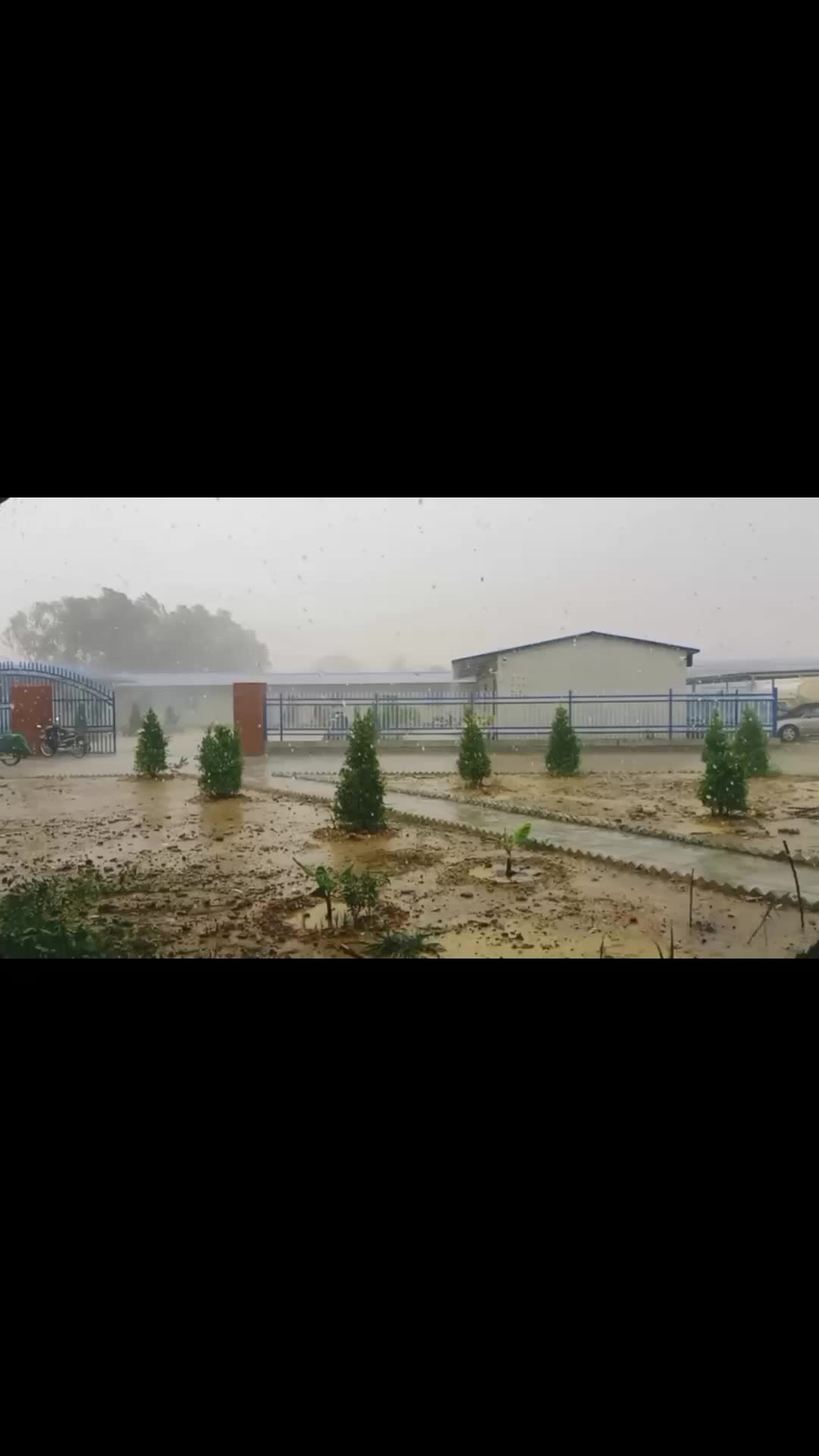 @ប្រុសស្មោះ