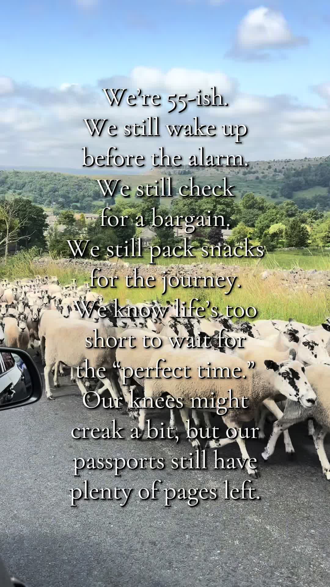 @Kate McNicholas TravelMovement
