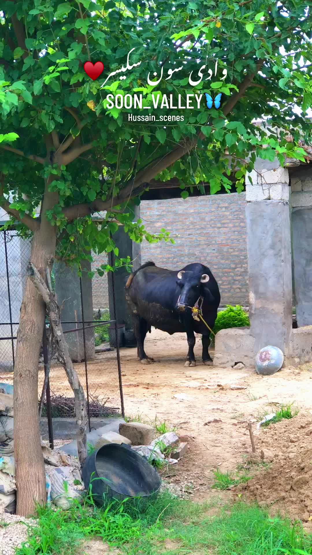 @میں اور میرا گاوں